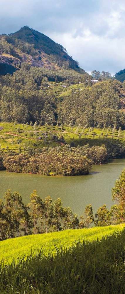 A Hilltop View Of Periyar Lake In The Western Ghats Of South India