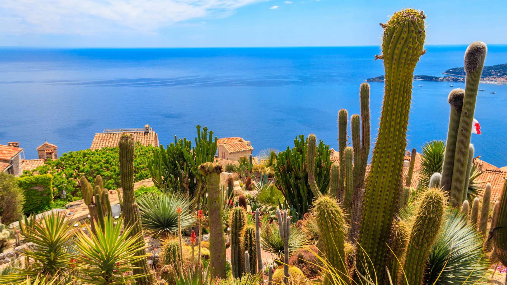 Exotic Garden Of Eze, French Riviera, France
