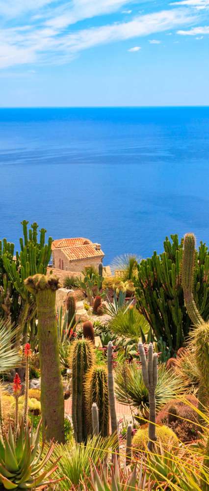 Exotic Garden Of Eze, French Riviera, France