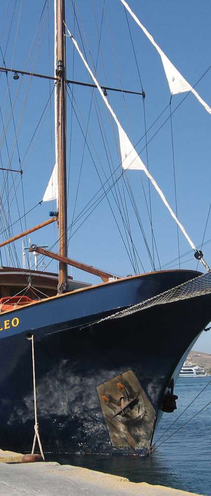 MS Galileo Cruise Vessel