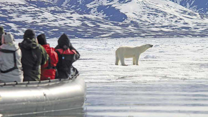 Zodiac Vessel Looking At Polar Bear On Ice