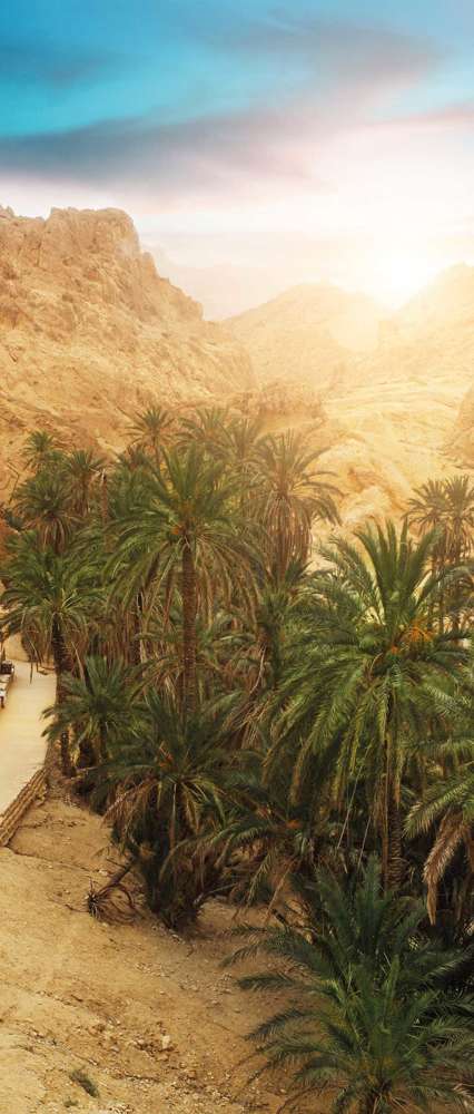 View Of Mountain Oasis, Chebika, Sahara Desert, Tunisia