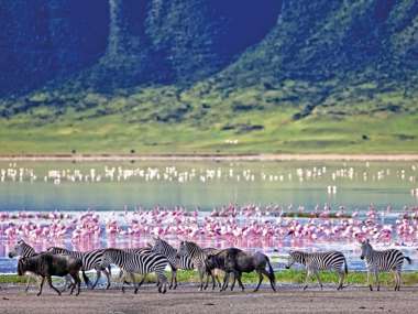 Tanzania Ngorongoro Crater Shutterstock 212602420