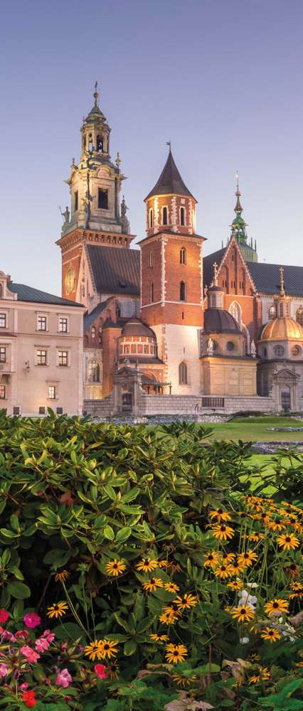 Wawel Cathedral And Wawel Castle On The Wawel Hill, Krakow, Poland