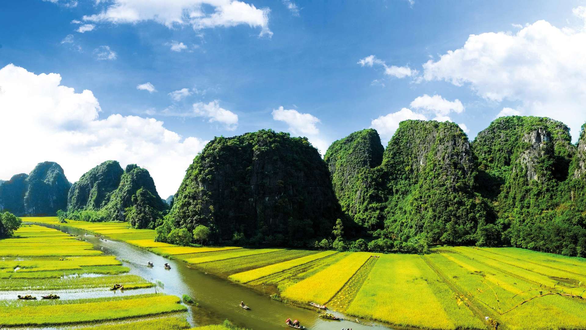 Rice Field And Ngodong River In Ninhbinh, Vietnam