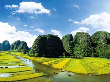 Rice Field And Ngodong River In Ninhbinh, Vietnam