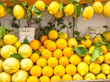 Amalfi Lemons, Italy