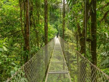 Monteverde Hanging Bridge Costa Rica Istock 517511066