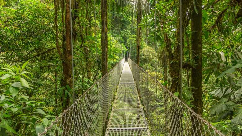 Monteverde Hanging Bridge Costa Rica Istock 517511066