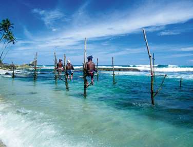 Local Men Fishing In Traditional Way, Sri Lanka