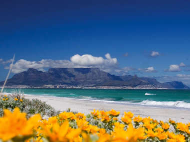 Cape Winelands and The Garden Route
