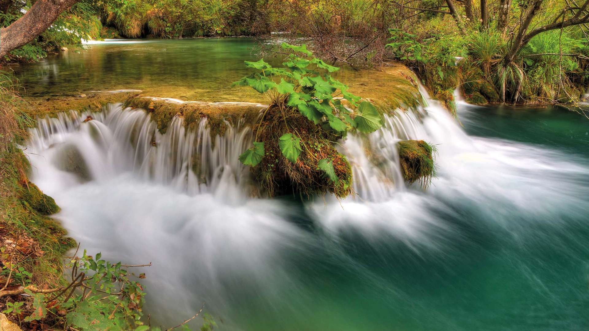 Water Reservoir, Plitvice Lakes National Park, Croatia