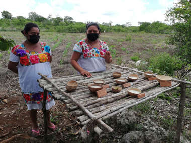 Food Bowls, Yaxunah Mayan Community, Mexico