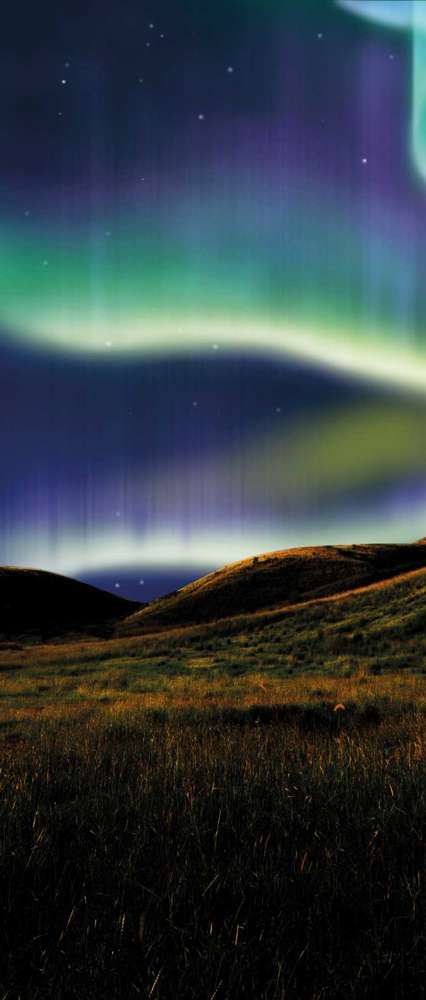 Northern Lights On The Silent Field Before Sun Rise