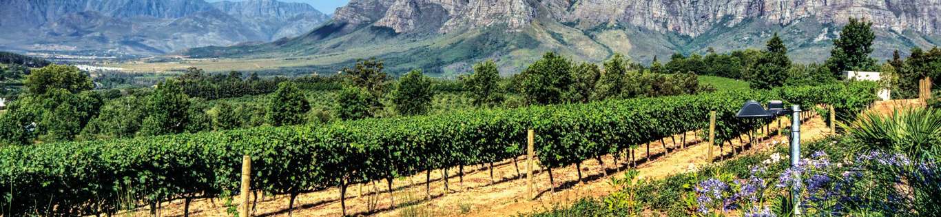 Cape Winelands, South Africa
