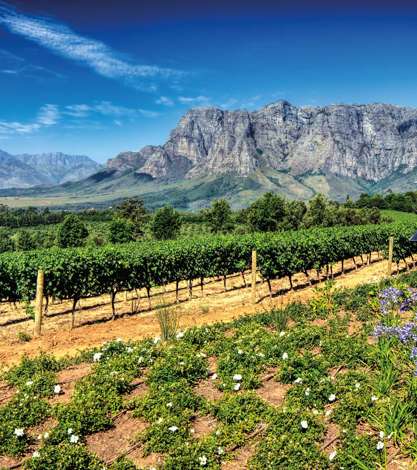 Cape Winelands, South Africa