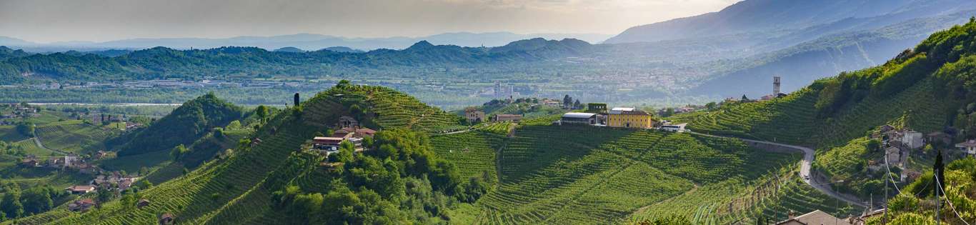 Prosecco Hills, Valdobbiadene And Santo Stefano, Italy