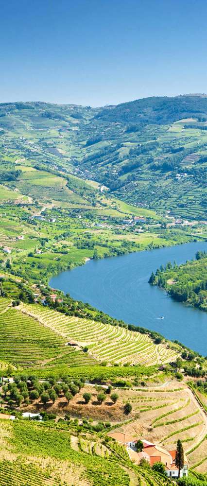 Douro Valley Shutterstock 42868861