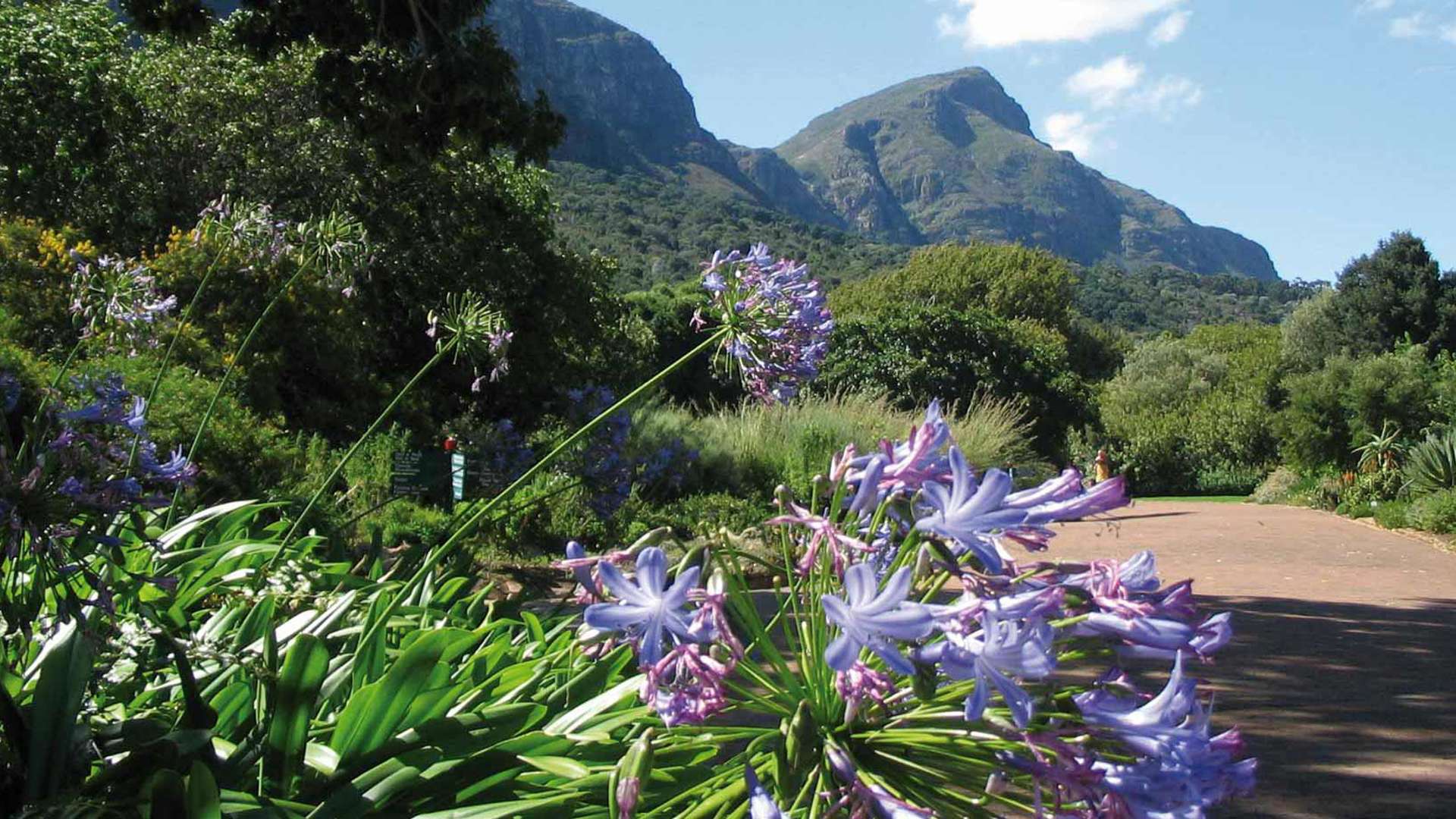 Kirstenbosch, South Africa