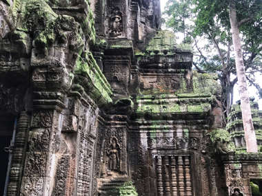 Ta Phrom Temple, Siem Reap 
