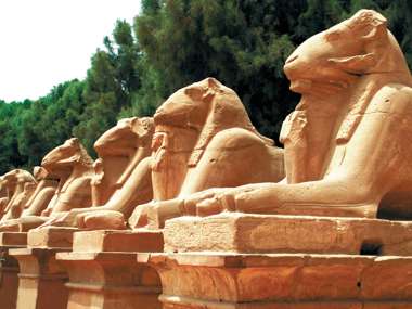 Sphinxes, Luxor Temple, Egypt