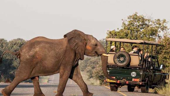 Chobe Safari Lodge, Chobe National Park, Botswana, Elephant