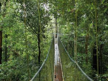 Mulu Canopy Walk, Mulu Marriott Resort & Spa, Malaysia