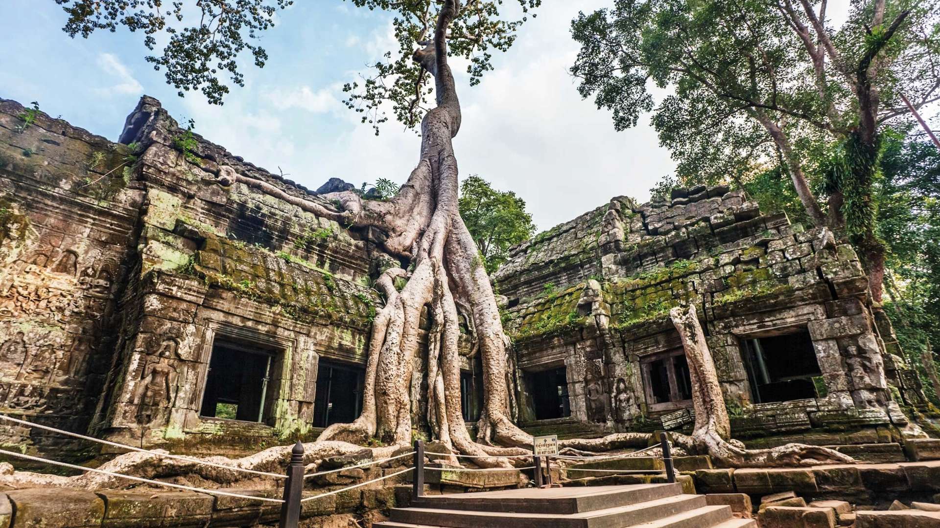 Ta Prohm Temple, Angkor Wat, Cambodia