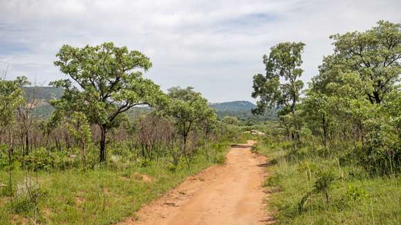 Kruger NP, South Africa